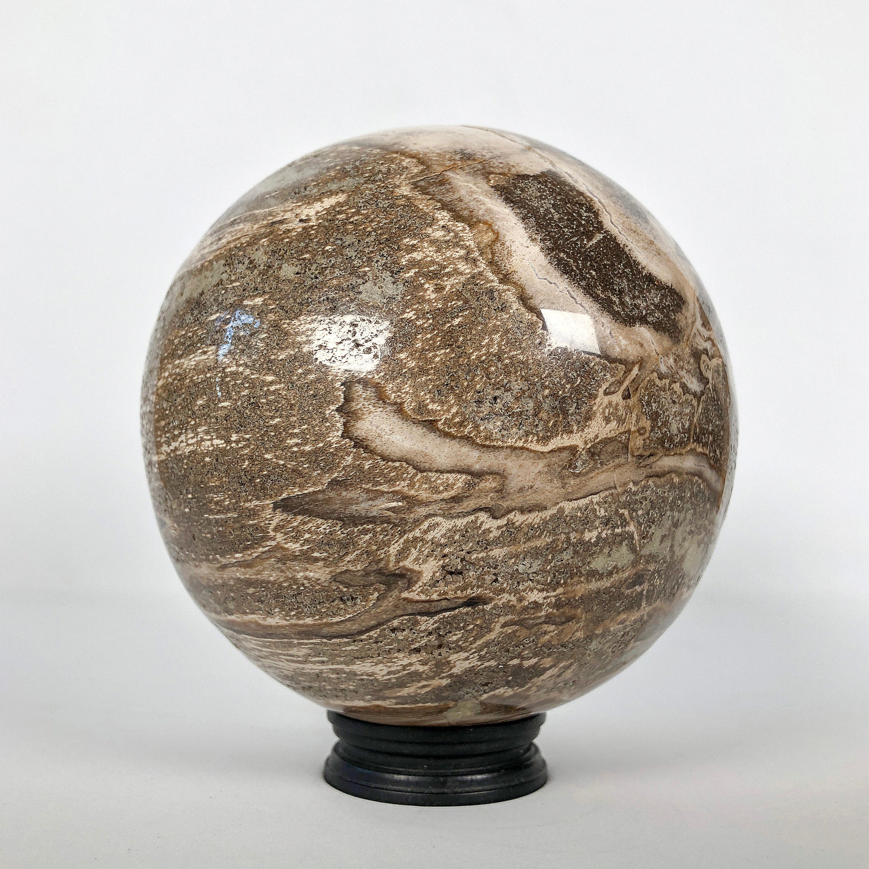 Wonderful Petrified Wood Sphere on a Custom Stand PS 518