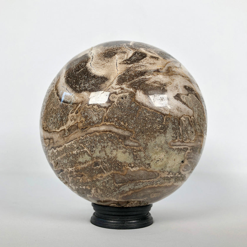 Wonderful Petrified Wood Sphere on a Custom Stand PS 518