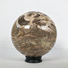 Wonderful Petrified Wood Sphere on a Custom Stand PS 518