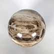 Wonderful Petrified Wood Sphere on a Custom Stand PS 518