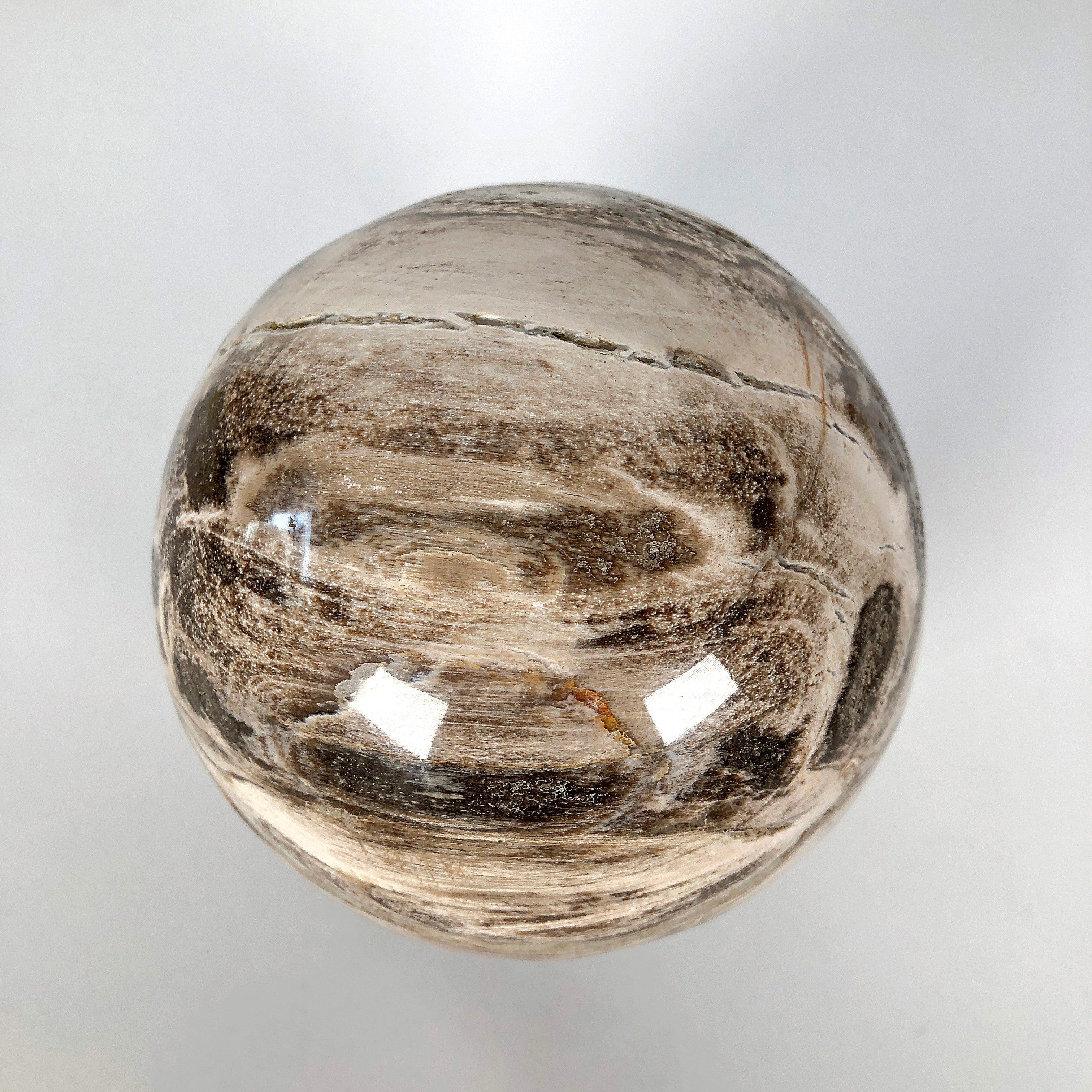 Wonderful Petrified Wood Sphere on a Custom Stand PS 518