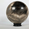 Wonderful Petrified Wood Sphere on a Custom Stand PS 512