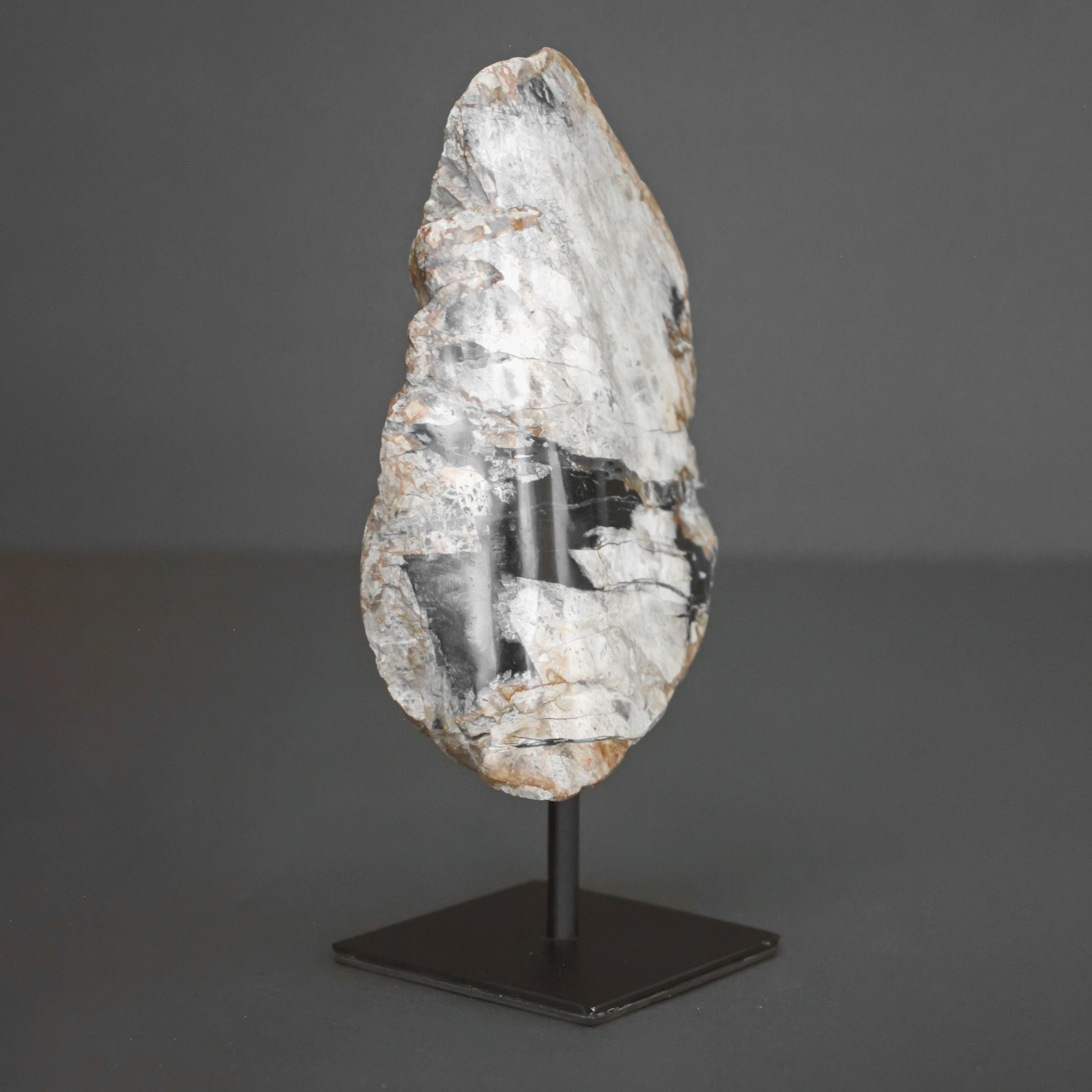 Polished Petrified Wood Freeform on a custom stand PetW/102