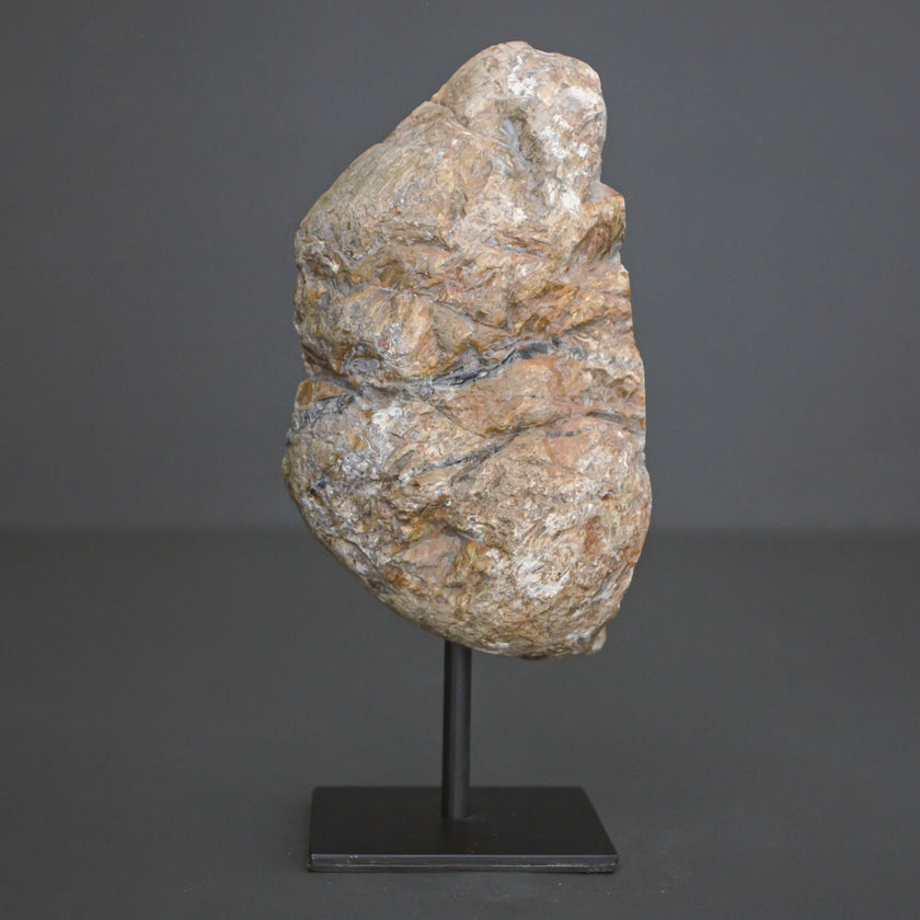 Polished Petrified Wood Freeform on a custom stand PetW/102