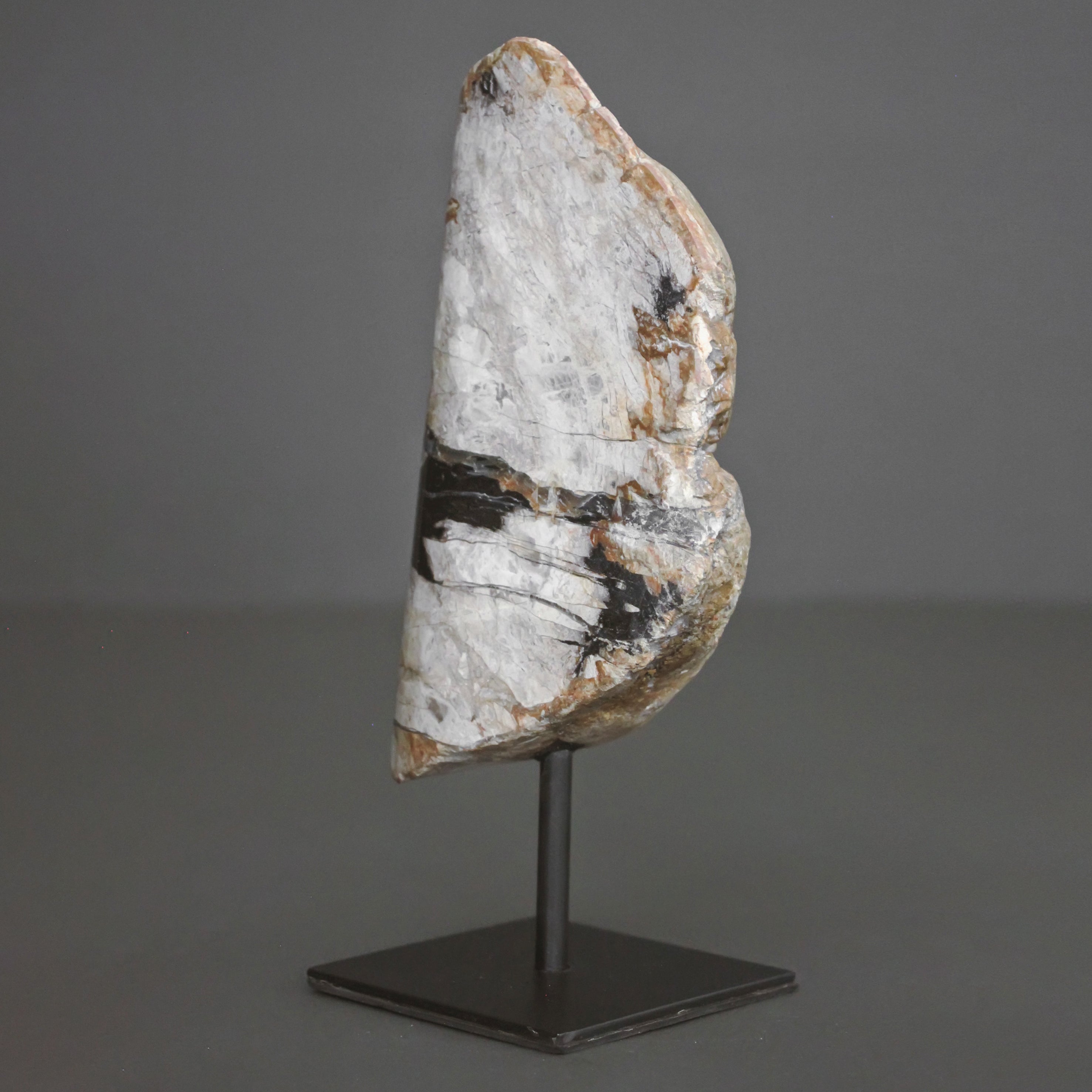 Polished Petrified Wood Freeform on a custom stand PetW/102