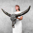 Caved Waterbuffalo Skulls with Skull And Octopus Carving Skull,A/180