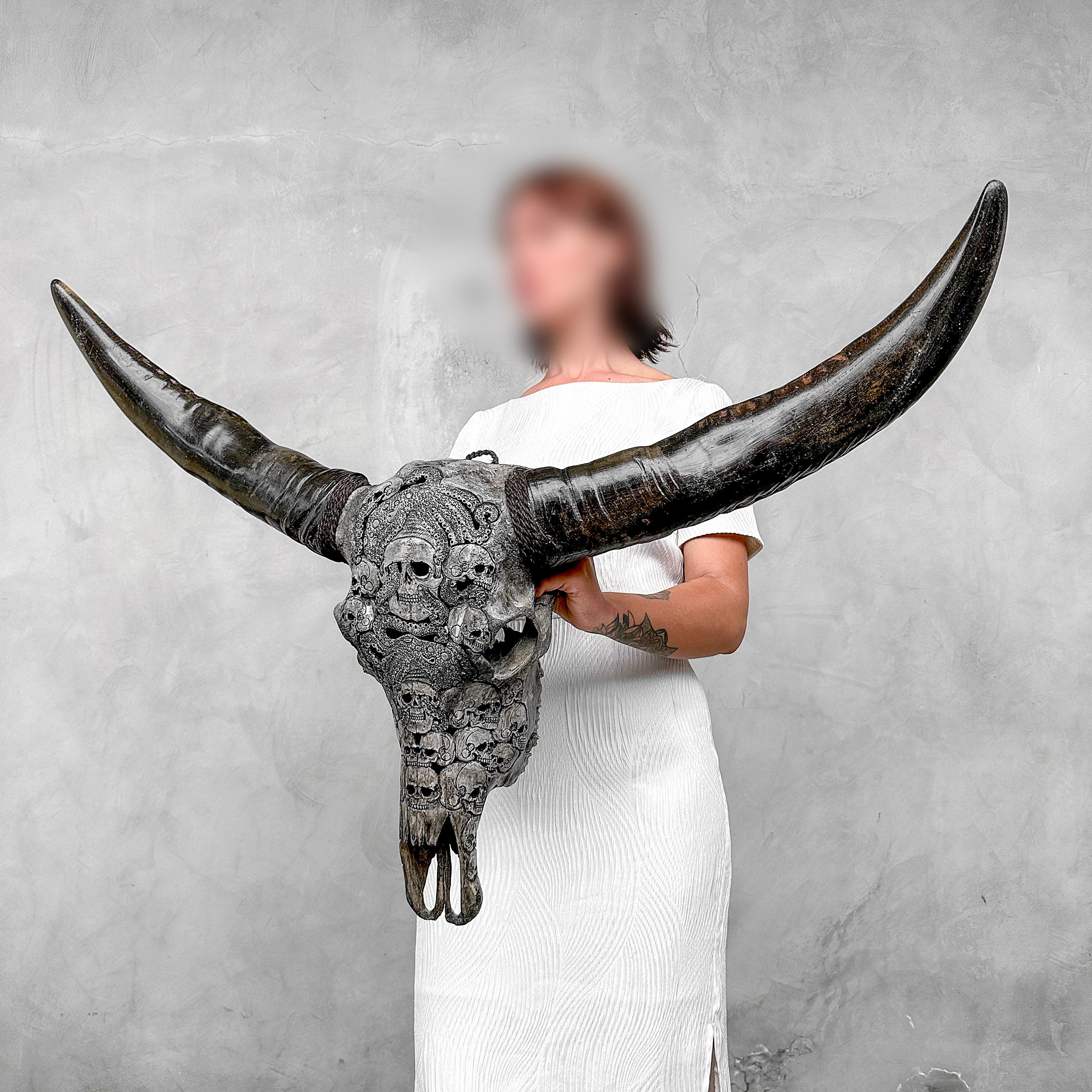 Caved Waterbuffalo Skulls with Skull And Octopus Carving Skull,A/180