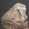 Polished Petrified Wood Freeform on a custom stand PetW/102