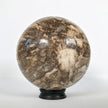 Wonderful Petrified Wood Sphere on a Custom Stand PS 510