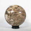 Wonderful Petrified Wood Sphere on a Custom Stand PS 510