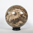 Wonderful Petrified Wood Sphere on a Custom Stand PS 510