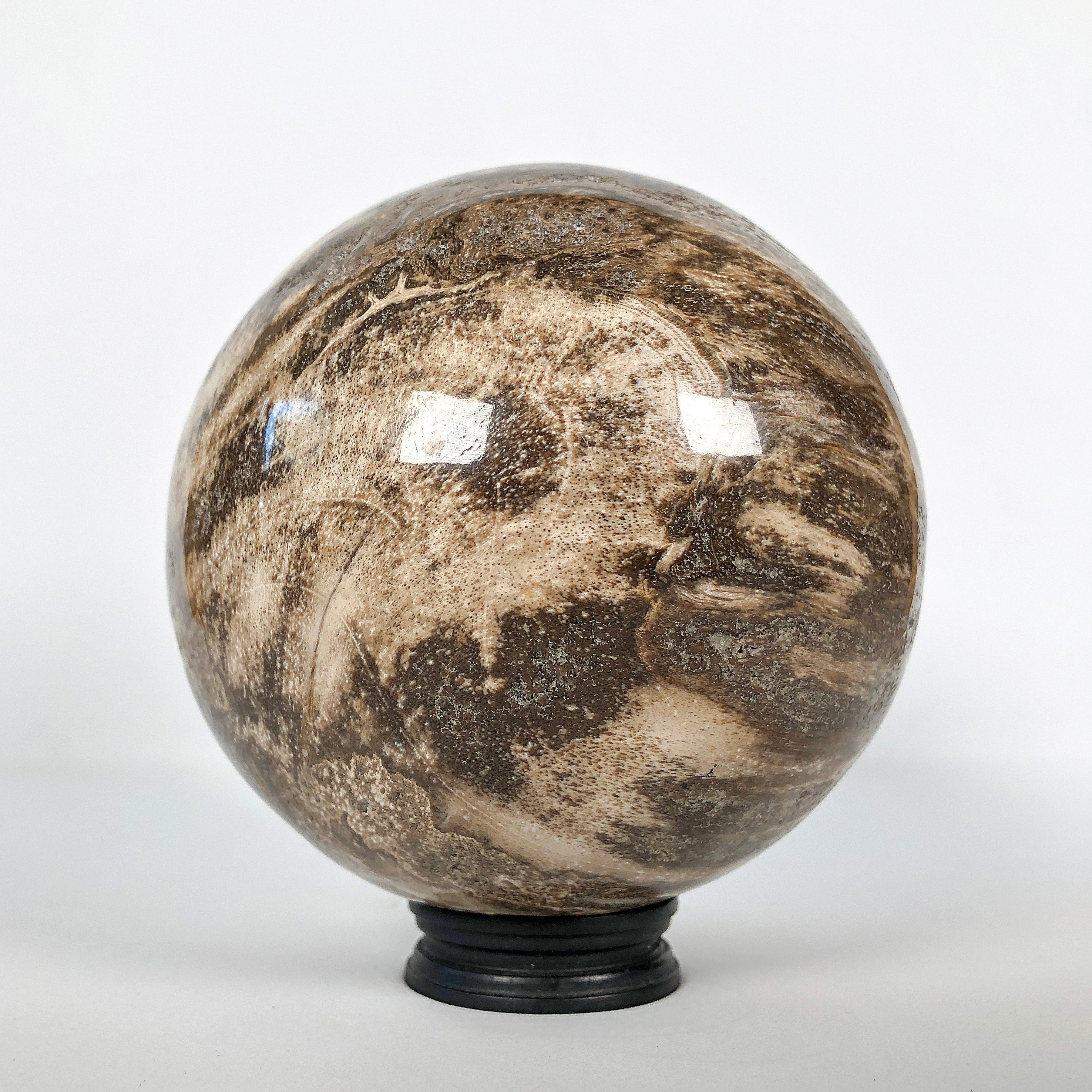 Wonderful Petrified Wood Sphere on a Custom Stand PS 510