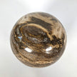 Wonderful Petrified Wood Sphere on a Custom Stand PS 510