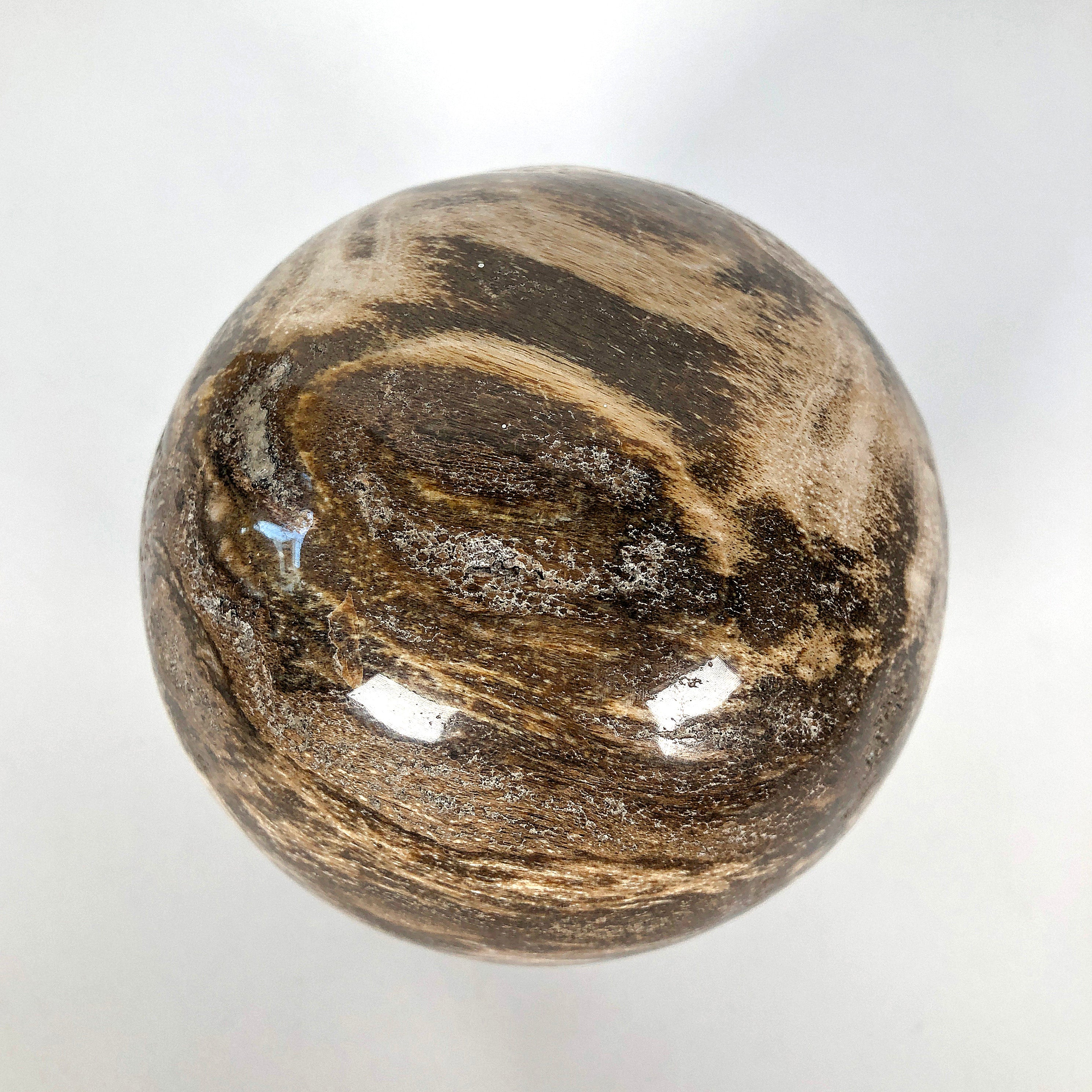 Wonderful Petrified Wood Sphere on a Custom Stand PS 510