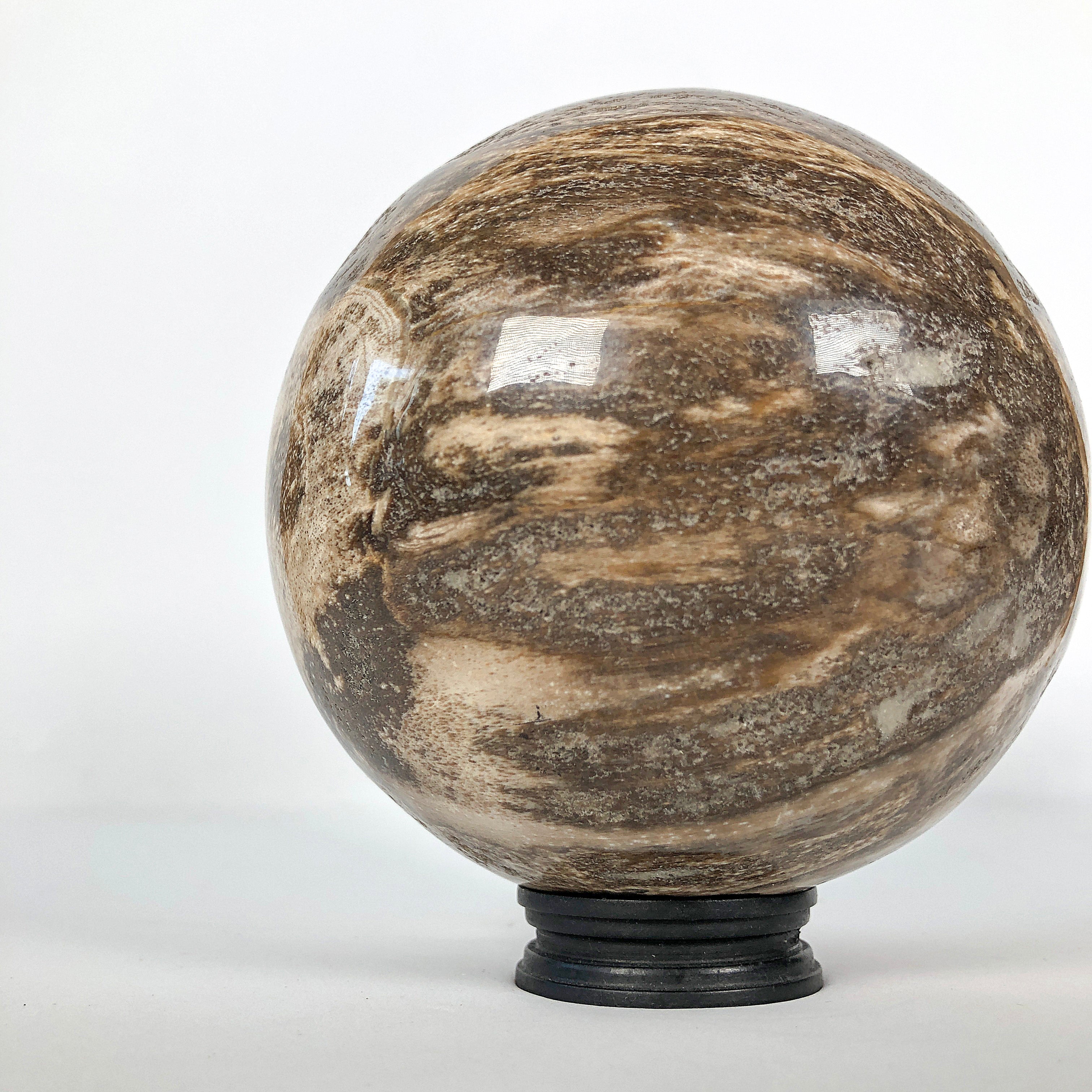 Wonderful Petrified Wood Sphere on a Custom Stand PS 510