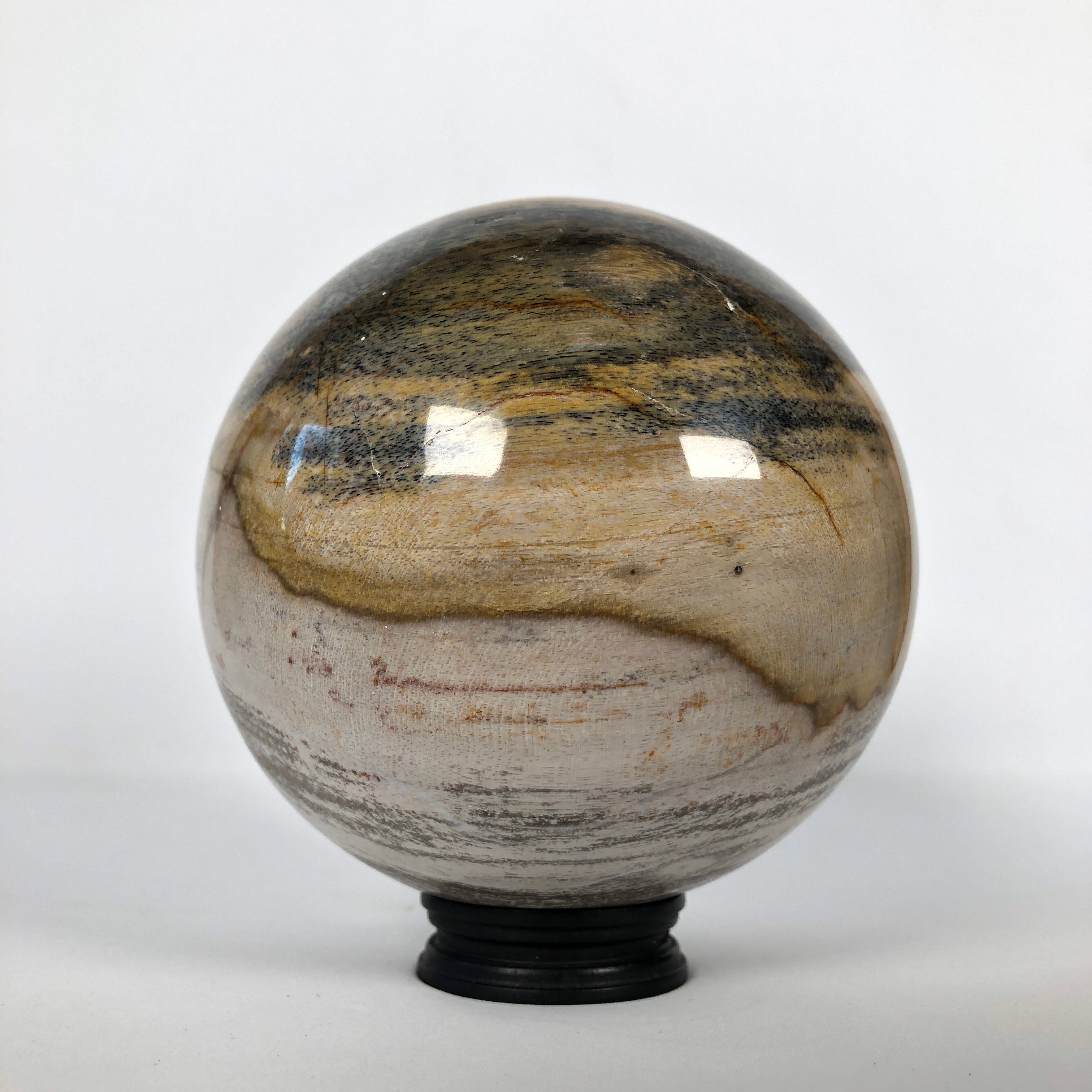 Wonderful Petrified Wood Sphere on a Custom Stand PS 509