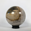 Wonderful Petrified Wood Sphere on a Custom Stand PS 509