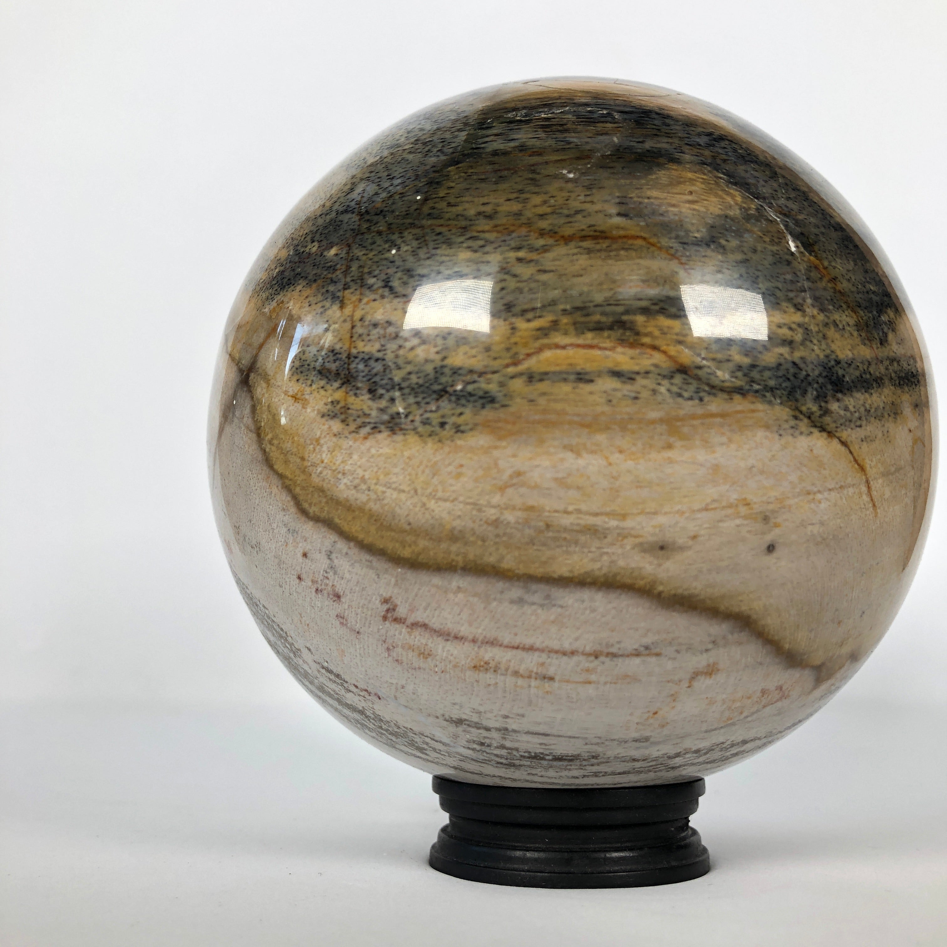 Wonderful Petrified Wood Sphere on a Custom Stand PS 509