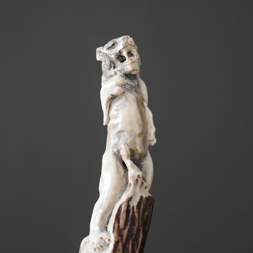Puma Carving from Deer Antler on a Stand - 7O/118