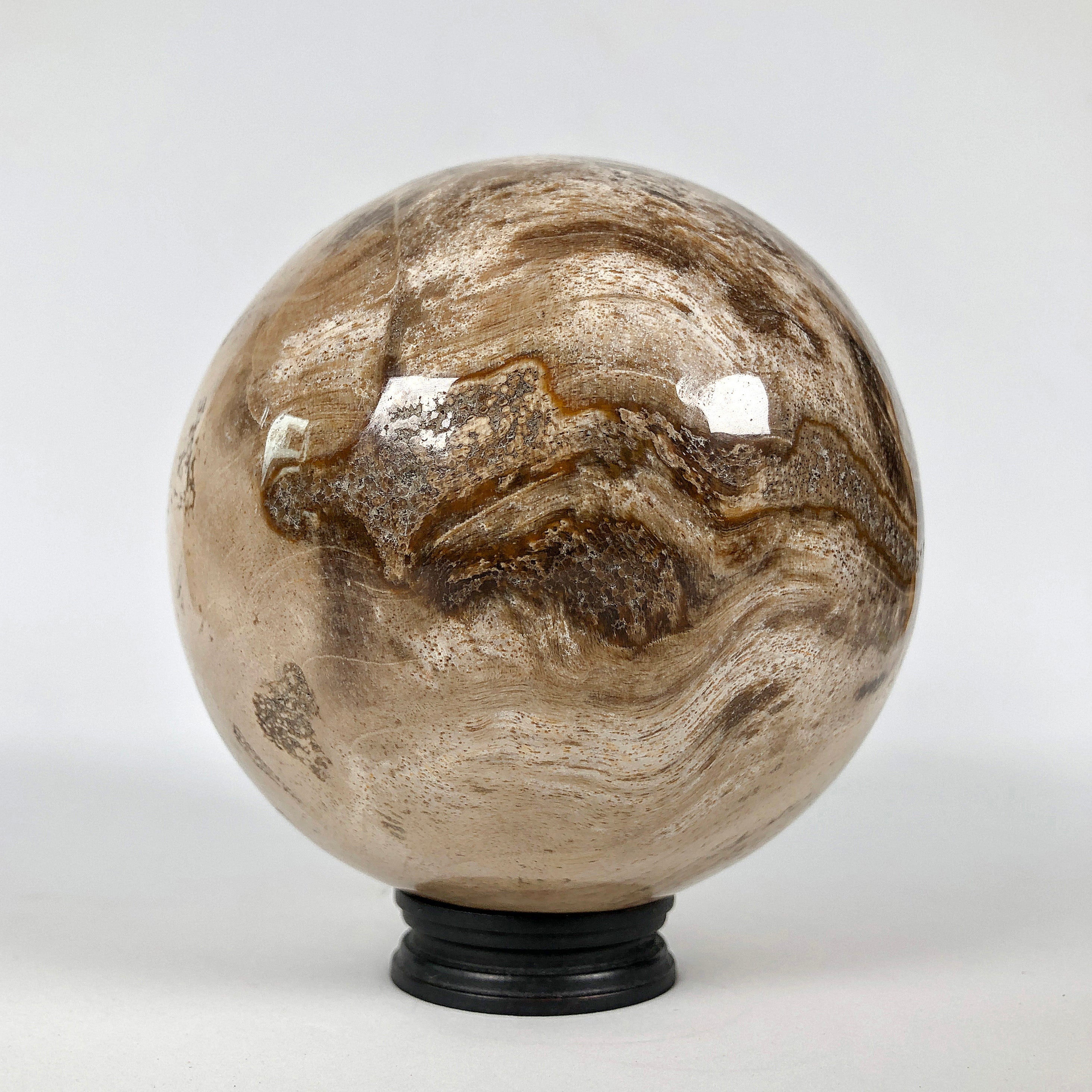 Wonderful Petrified Wood Sphere on a Custom Stand PS 539