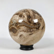 Wonderful Petrified Wood Sphere on a Custom Stand PS 539