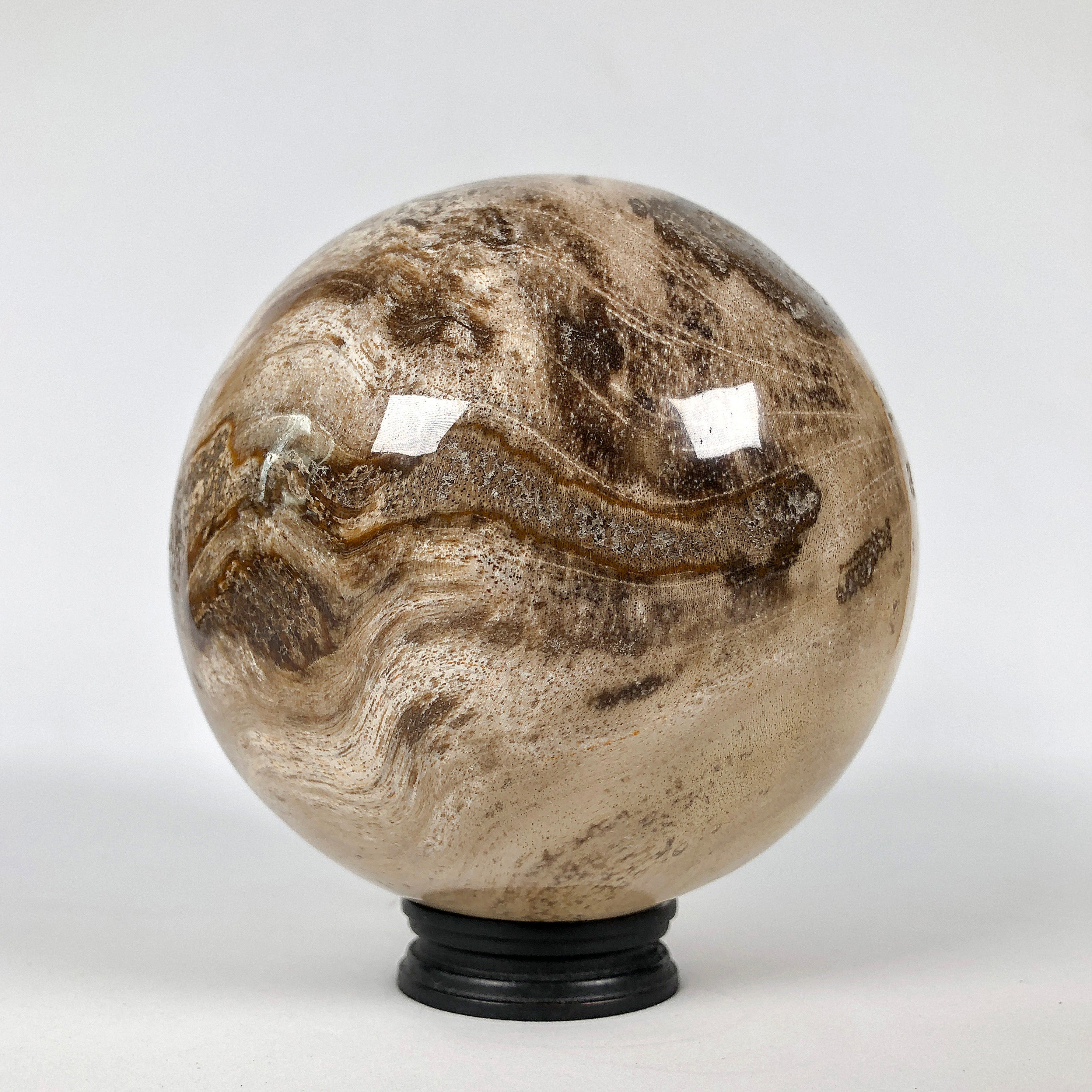 Wonderful Petrified Wood Sphere on a Custom Stand PS 539