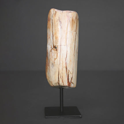 Polished Petrified Wood Freeform on a custom stand PetW/110