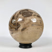 Wonderful Petrified Wood Sphere on a Custom Stand PS 539