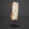 Polished Petrified Wood Freeform on a custom stand PetW/110