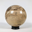 Wonderful Petrified Wood Sphere on a Custom Stand PS 539