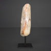 Polished Petrified Wood Freeform on a custom stand PetW/110