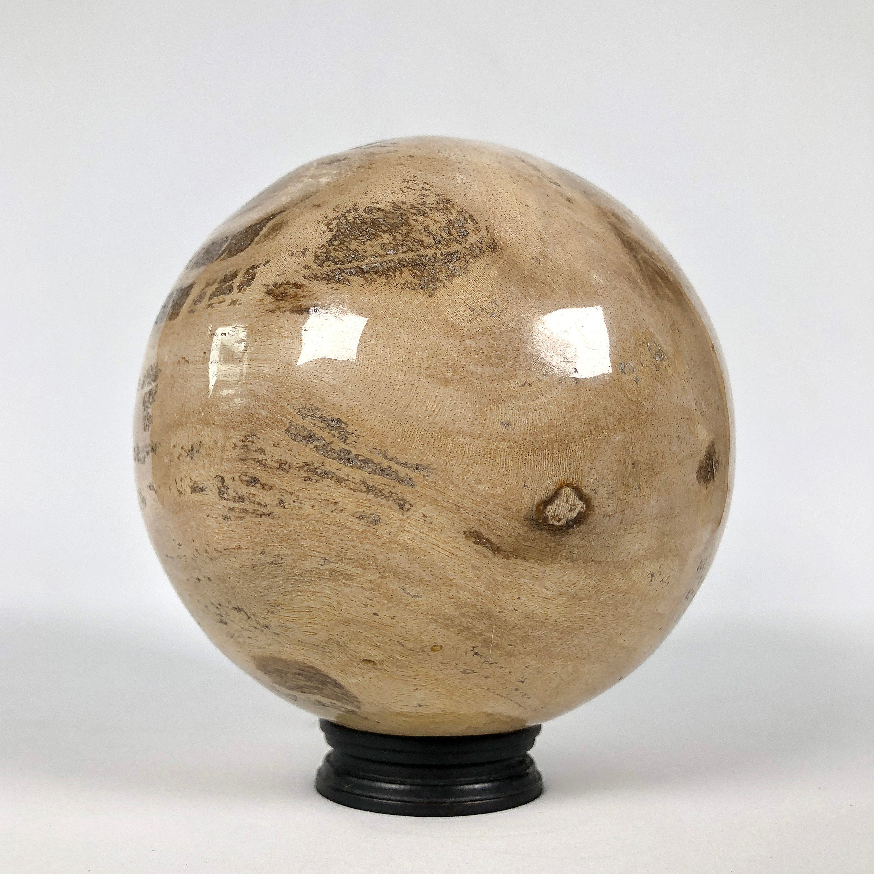 Wonderful Petrified Wood Sphere on a Custom Stand PS 539