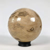 Wonderful Petrified Wood Sphere on a Custom Stand PS 539