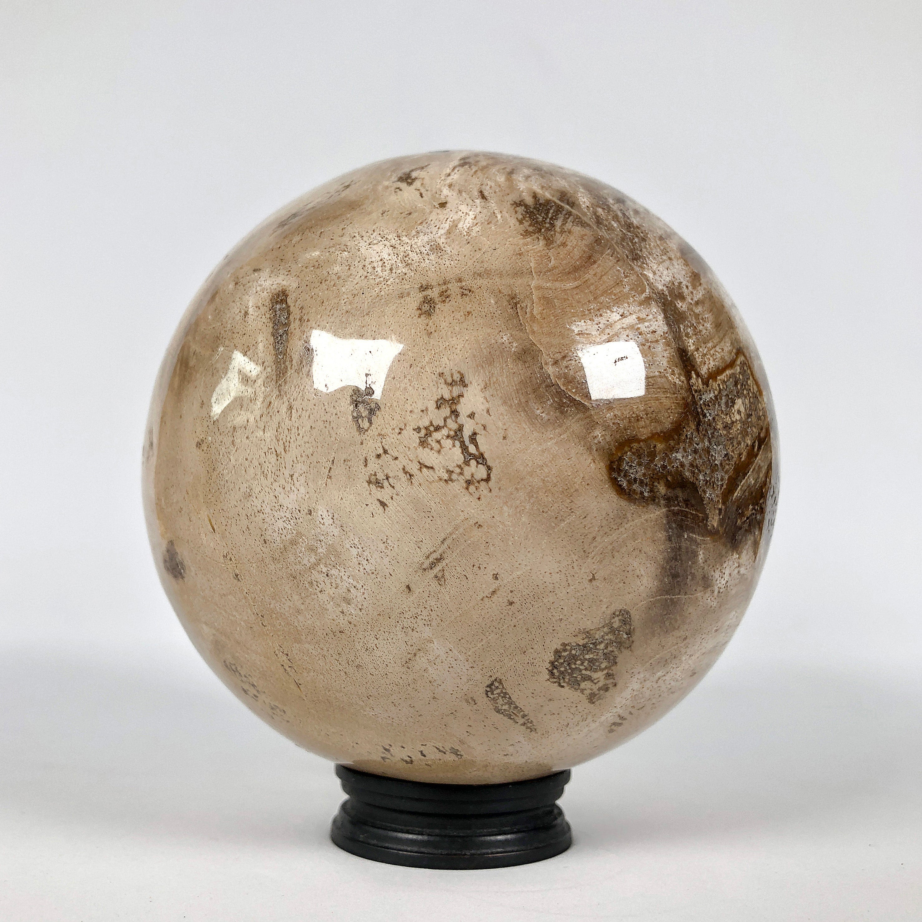 Wonderful Petrified Wood Sphere on a Custom Stand PS 539