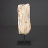 Polished Petrified Wood Freeform on a custom stand PetW/110