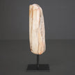 Polished Petrified Wood Freeform on a custom stand PetW/110