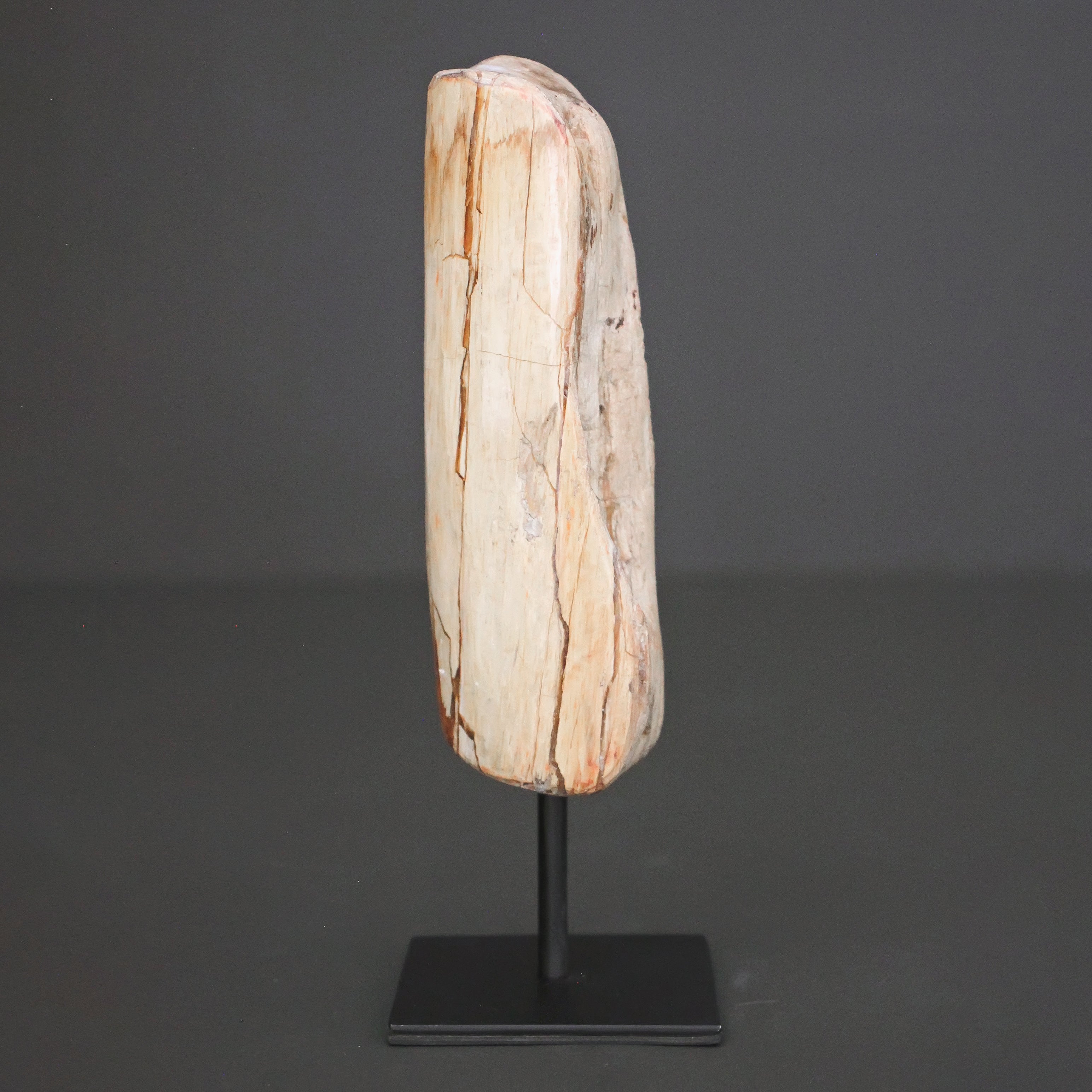 Polished Petrified Wood Freeform on a custom stand PetW/110