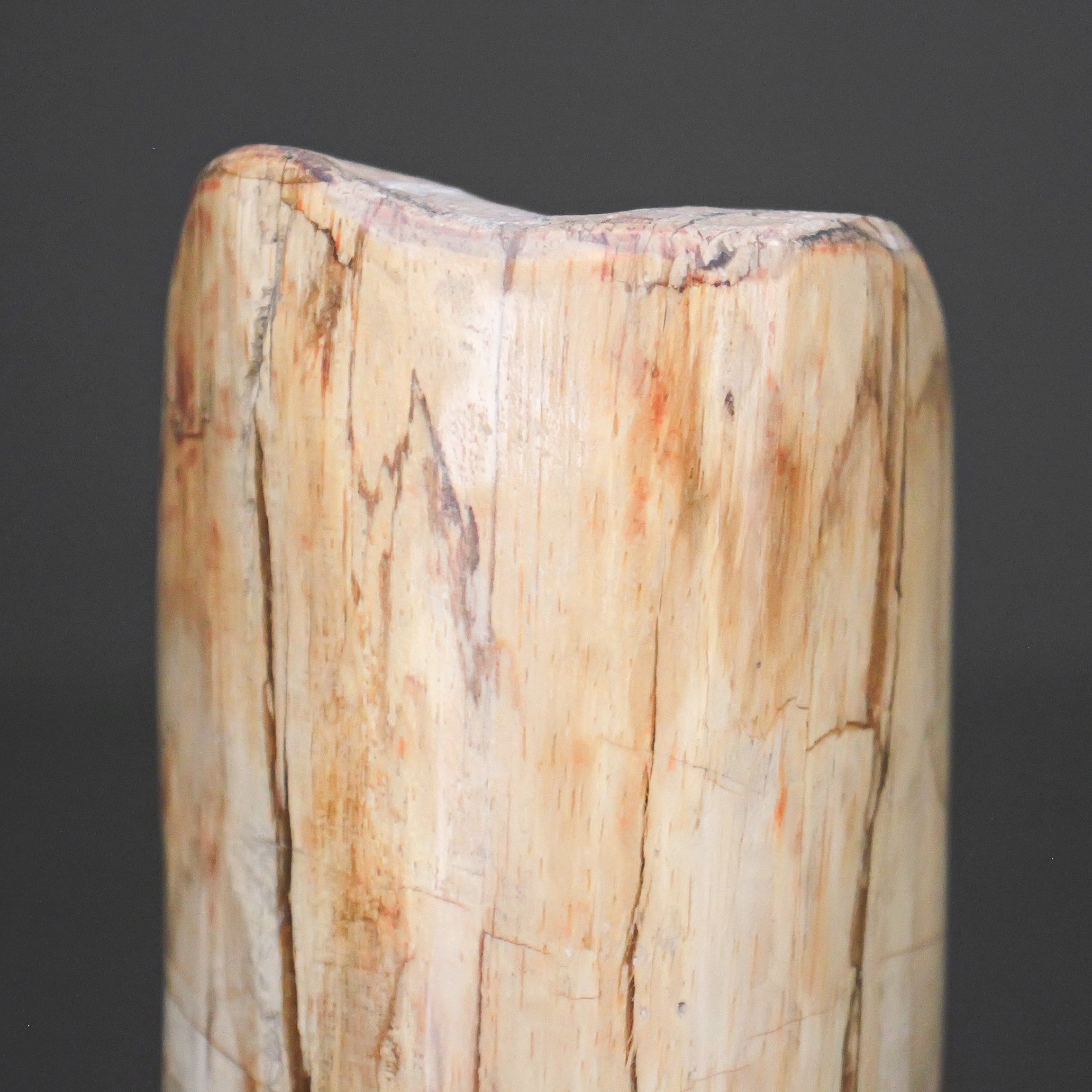 Polished Petrified Wood Freeform on a custom stand PetW/110