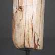 Polished Petrified Wood Freeform on a custom stand PetW/110