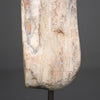 Polished Petrified Wood Freeform on a custom stand PetW/110