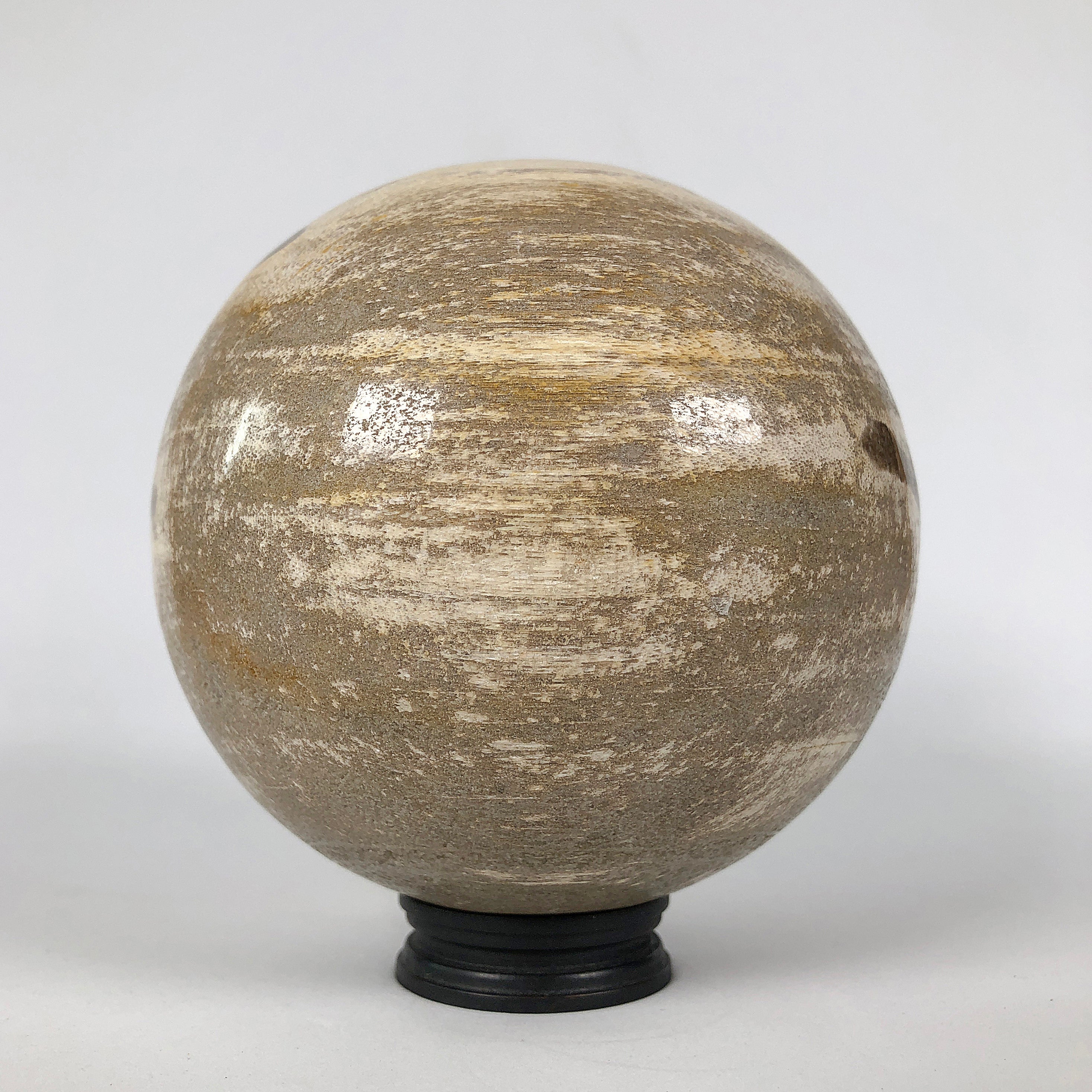 Wonderful Petrified Wood Sphere on a Custom Stand PS 538