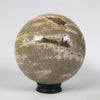 Wonderful Petrified Wood Sphere on a Custom Stand PS 538