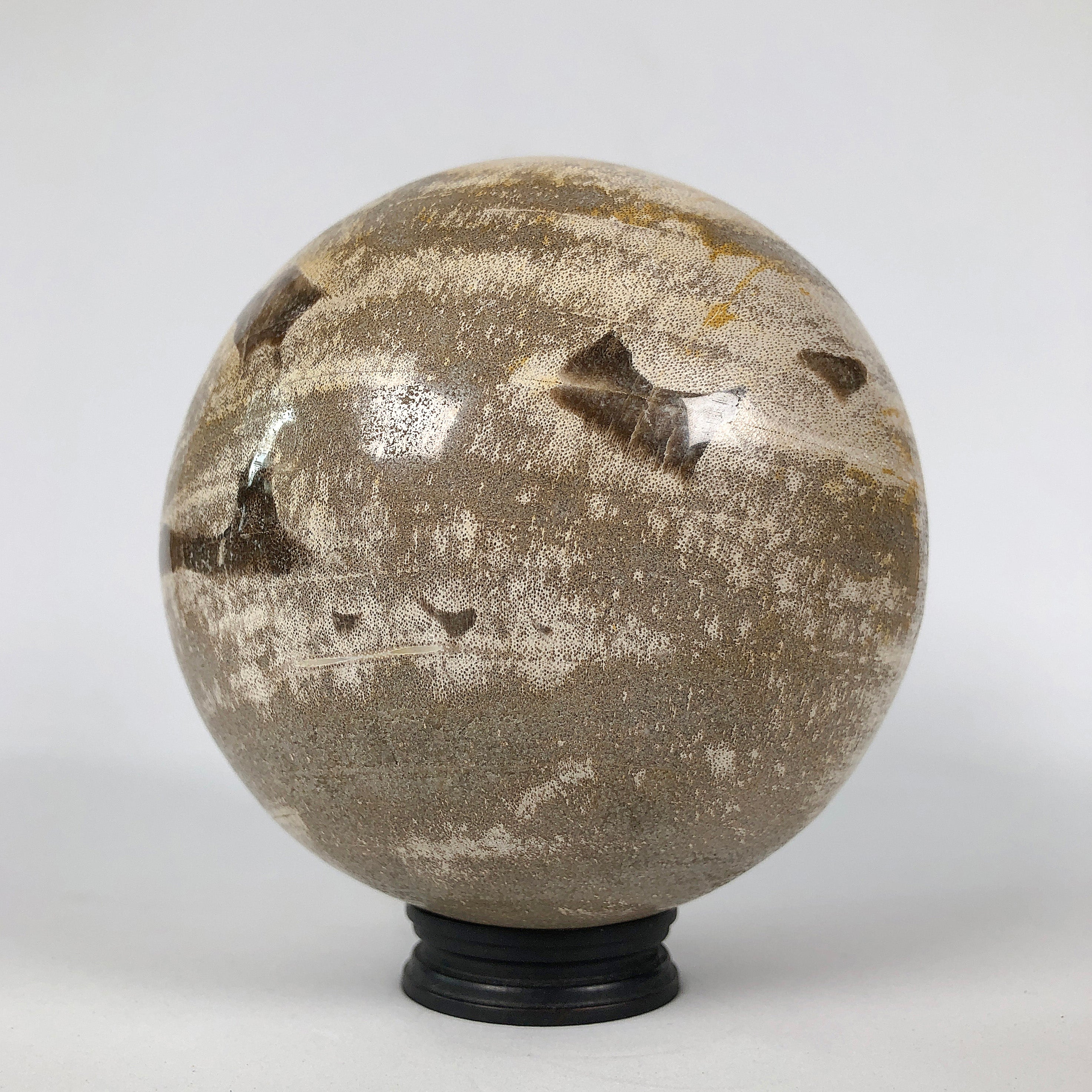 Wonderful Petrified Wood Sphere on a Custom Stand PS 538