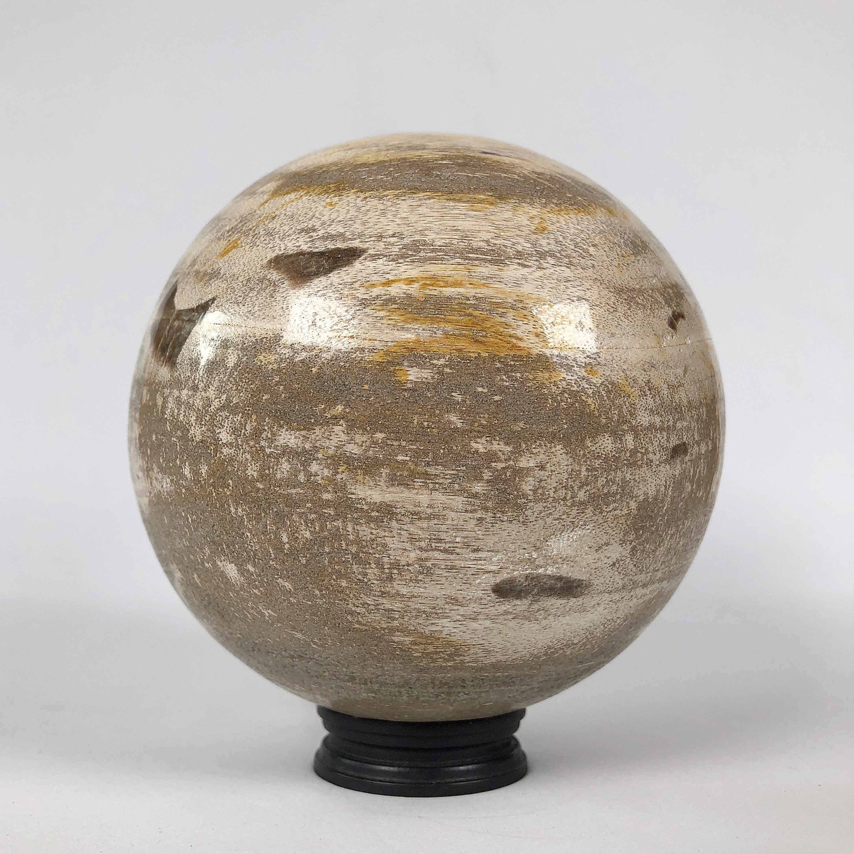 Wonderful Petrified Wood Sphere on a Custom Stand PS 538