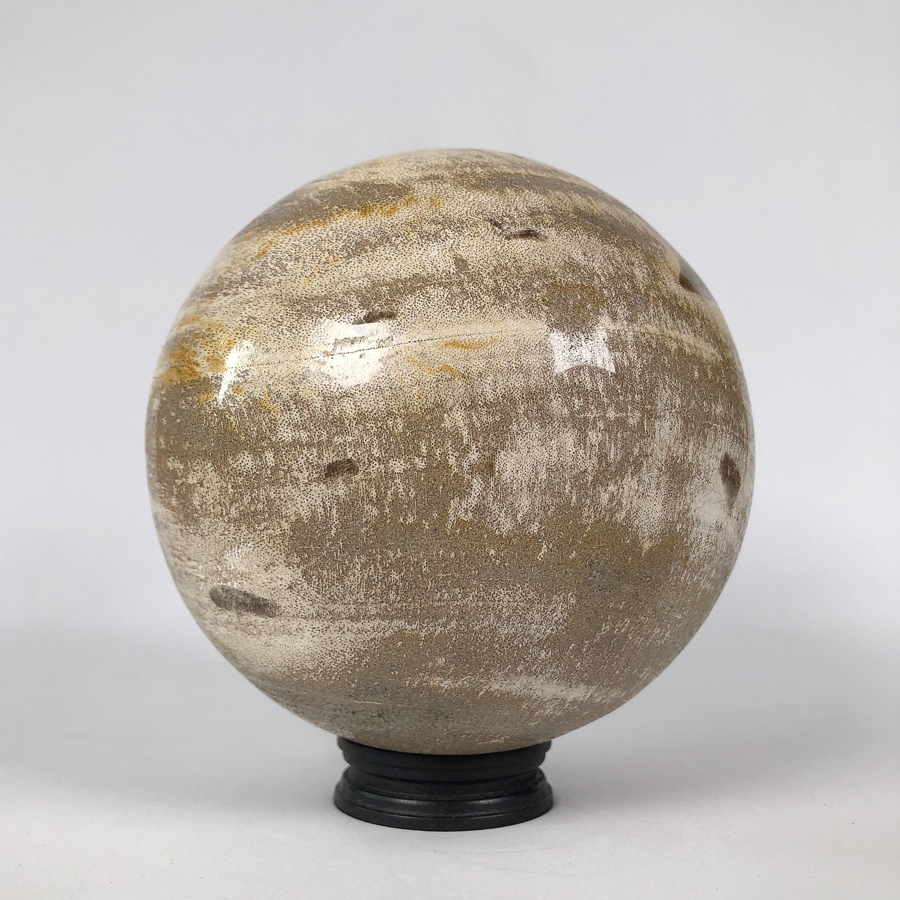 Wonderful Petrified Wood Sphere on a Custom Stand PS 538