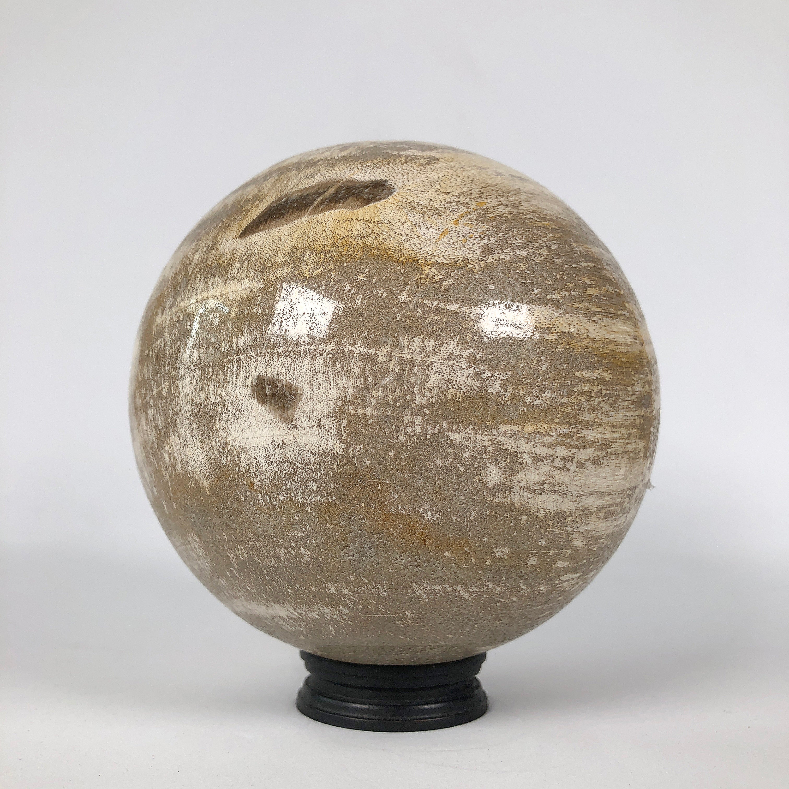 Wonderful Petrified Wood Sphere on a Custom Stand PS 538