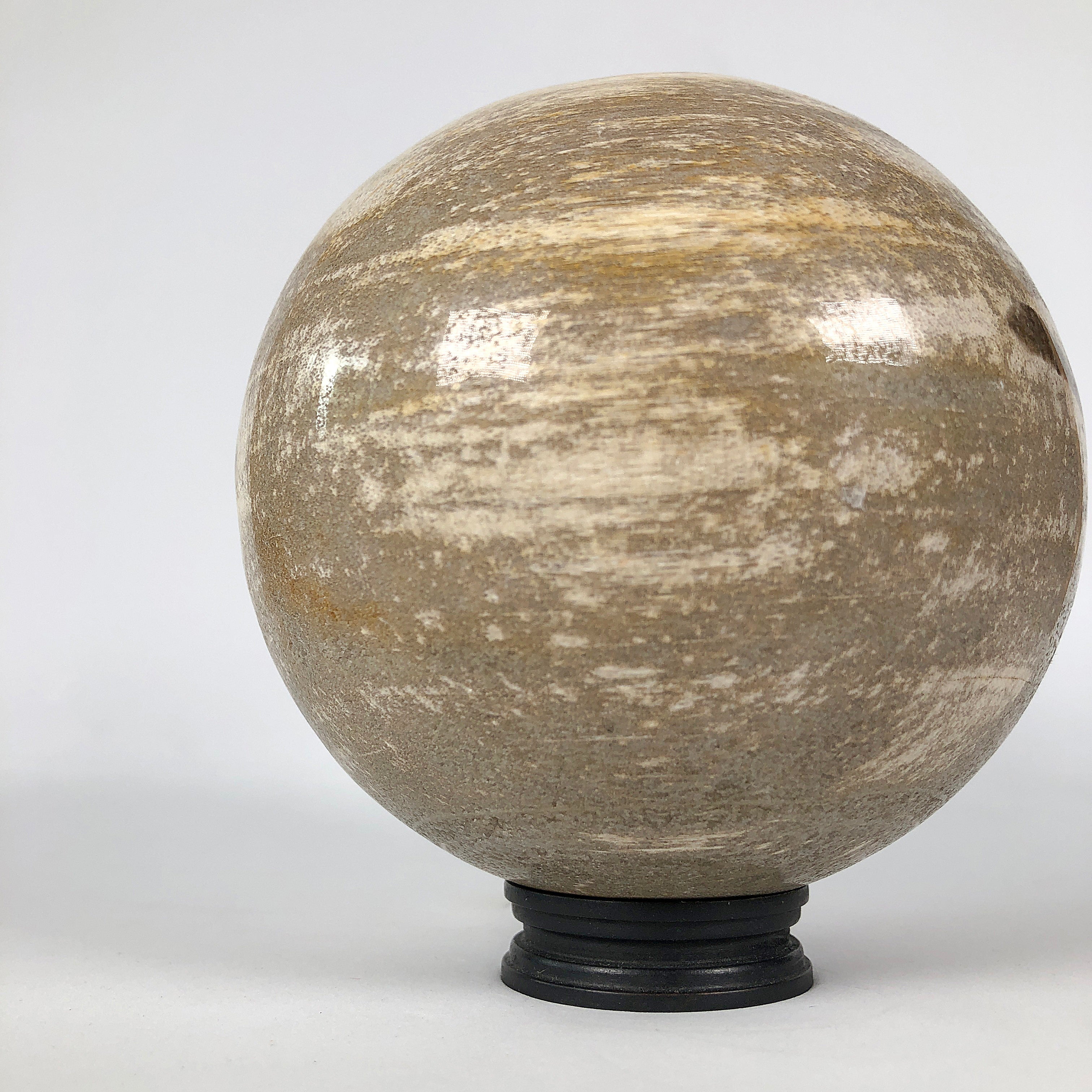 Wonderful Petrified Wood Sphere on a Custom Stand PS 538