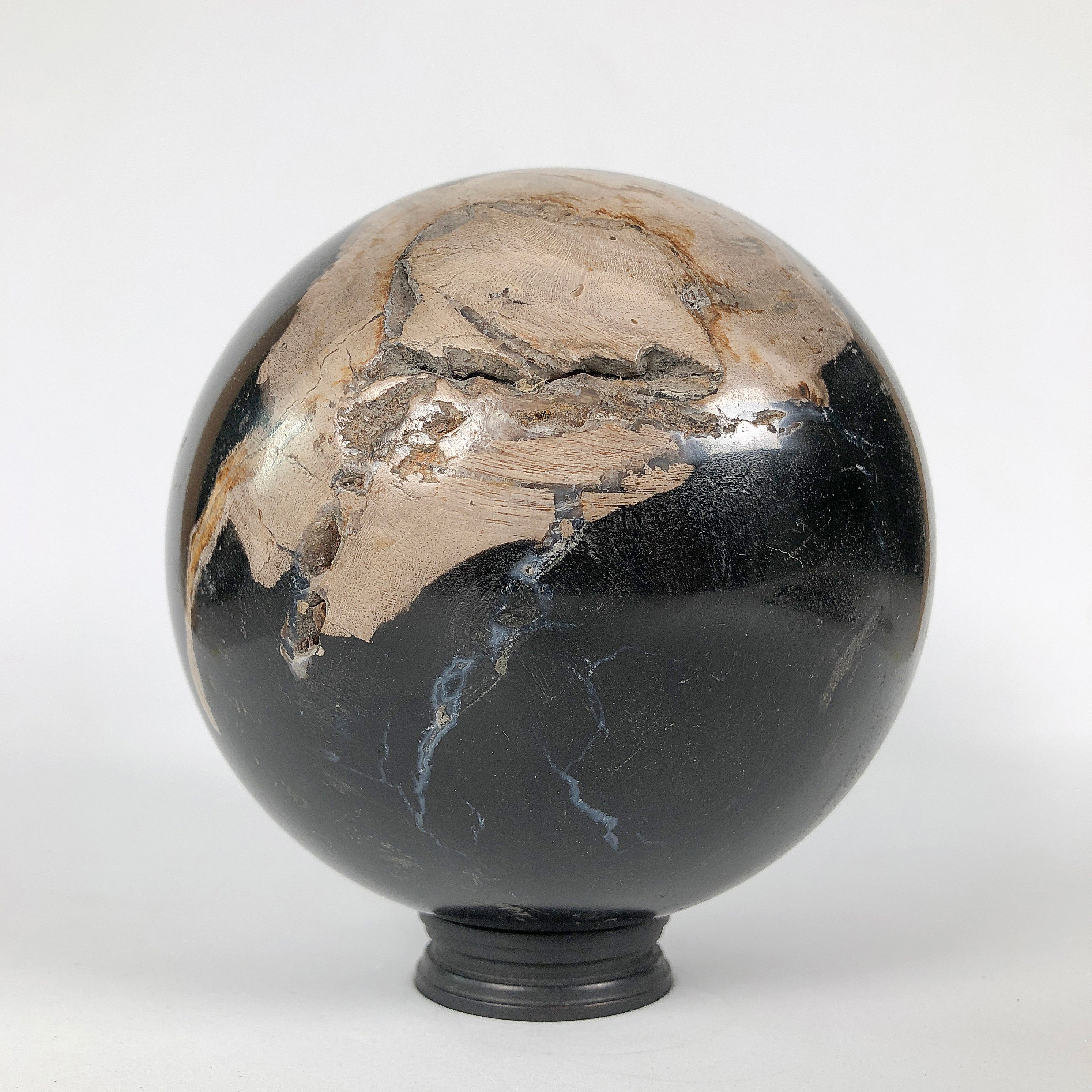 Wonderful Petrified Wood Sphere on a Custom Stand PS 535