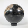 Wonderful Petrified Wood Sphere on a Custom Stand PS 535