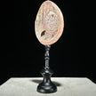 Abalone Shell on Stand Red-G2/342